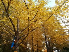 -辽宁大学(崇山校区)