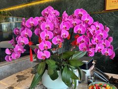 -宴周康·精致江浙菜(周浦店)