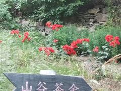 -北京水岸山吧度假村(雁栖镇店)
