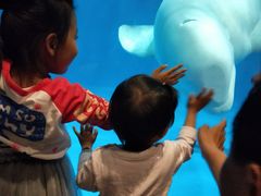 -华夏文旅海洋公园