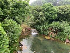 -杭州开元森泊度假乐园