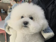 -心仪动物医院·牙专科·肿瘤·心脏科(西客站院)