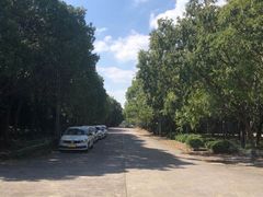 -胜华驾校·小猫学车(银都店)