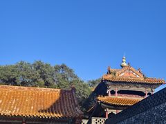 -北陵公园