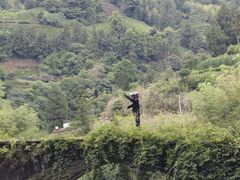 -石潭村