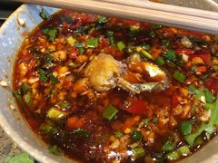 -肖肖酸萝卜鱼火锅(总店)