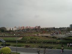 -光明小镇欢乐田园