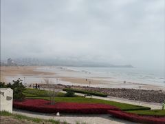 -青岛朗艺美术馆·海景咖啡