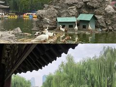 -团结湖公园