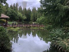 -上海滨江森林公园