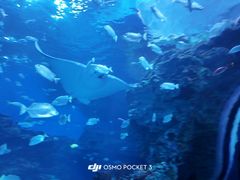 -海合安成都极地海洋公园