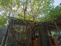 -VOYAGE COFFEE(杨梅竹店)