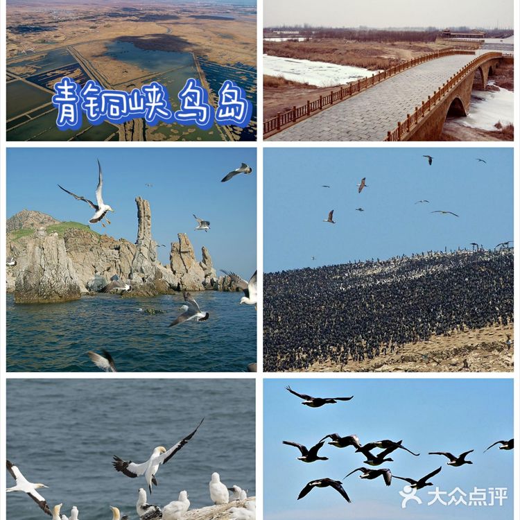 吴忠市旅游必玩景点游玩攻略推荐~