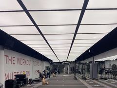 -TMG潮流健身(奥体莲荷里店)