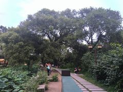 -北陵公园
