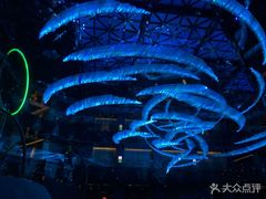 景观位-西安W酒店·WEI全味西餐厅