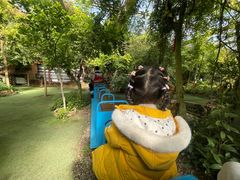 -呀路古热带植物园