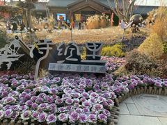 -诗经里