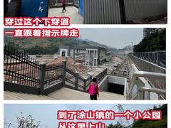 -南山植物园