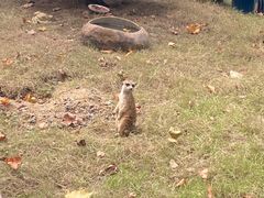 -常州淹城野生动物世界