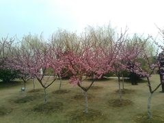 -白塘生态植物园