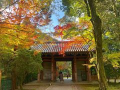 -醍醐寺