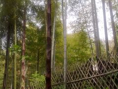 -山沟沟景区