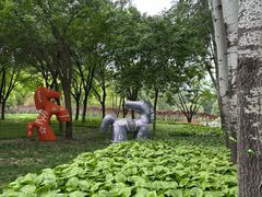 -仁和公园(顺义区)
