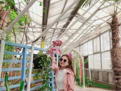 -石家庄市植物园