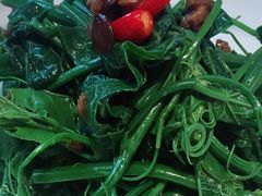 豉汁丝瓜尖-眉州东坡(团结湖店)