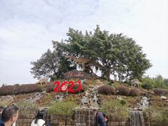 -自贡恐龙博物馆