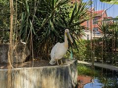 -灵玲国际马戏城