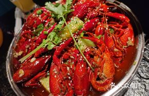 Spicy Giant Freshwater Shrimp