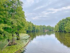 -尚湖风景区