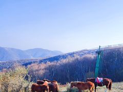 -灵山