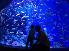 -成都浩海立方海洋公园