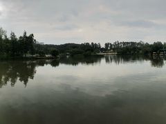 -南沙蒲洲花园