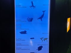 -同济大学四平路校区深海探索馆