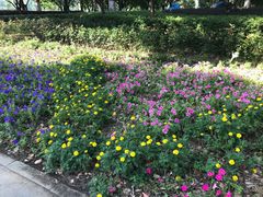 -昆山城市生态森林公园