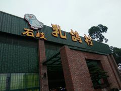 -石岐乳鸽村(南海第三分店)