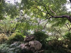 -西湖游船