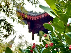 -成都市文殊院