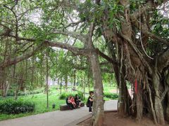 -美亭美榔姐妹塔