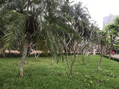 -万绿园
