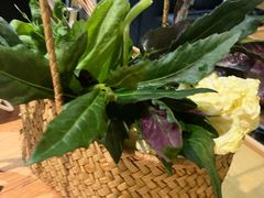 -一朵菌·野生菌探索家火锅(南亚店)