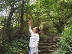 -宁波五龙潭景区