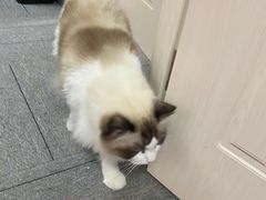 -零纪元VR体验馆·桌游(黄浦店)