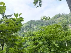 -天女山森林公园