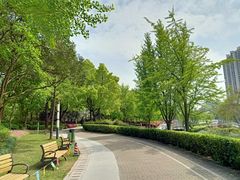 -苏州河梦清园环保主题公园