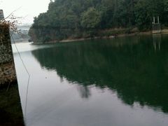 -江西阳明山国家森林公园